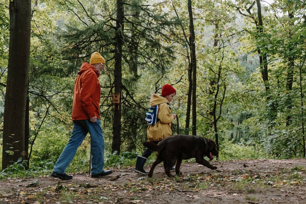 walking in the forest