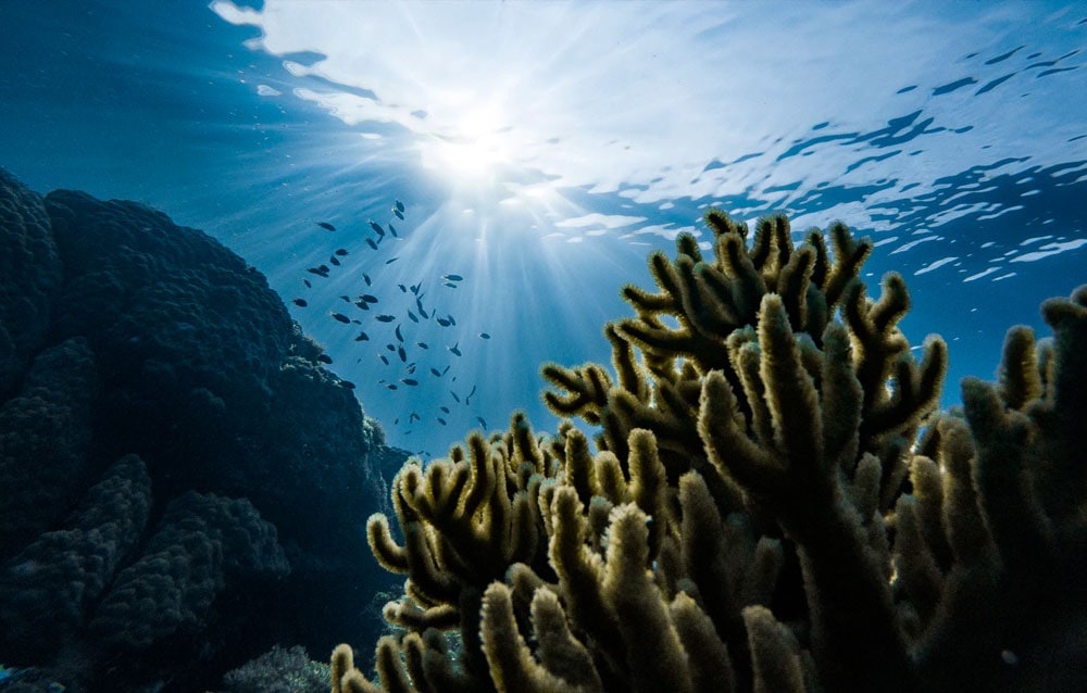 eco reef momorial