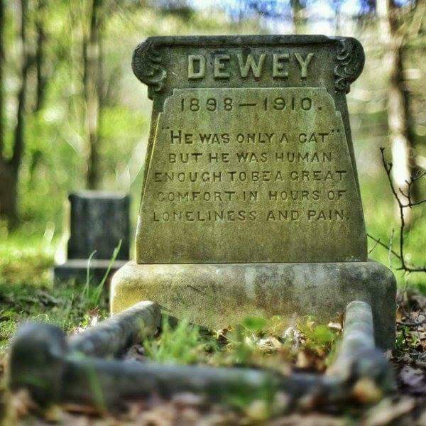 Dewed headstone