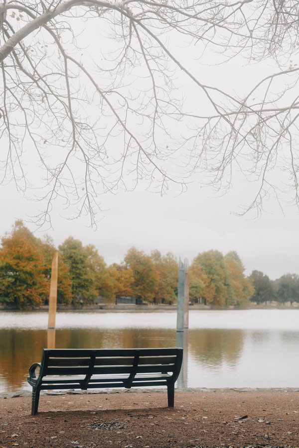 memorial bench near a lake