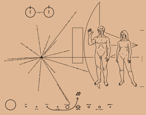 the illustration on the pioneer plaque