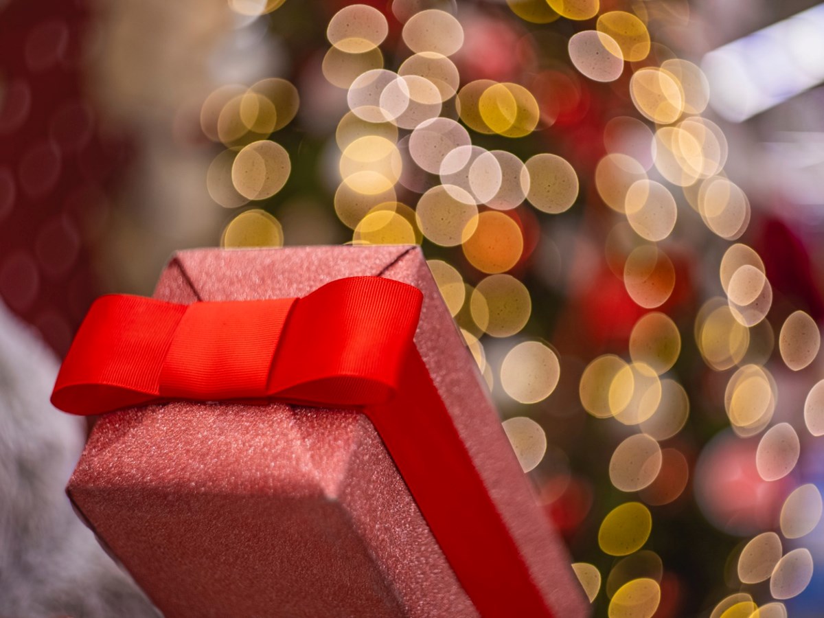Give Truly Eternal Gifts: Celestis DNA™ and Celestis MindFiles™