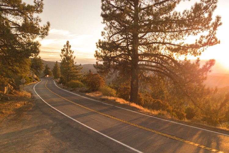 concrete road between trees