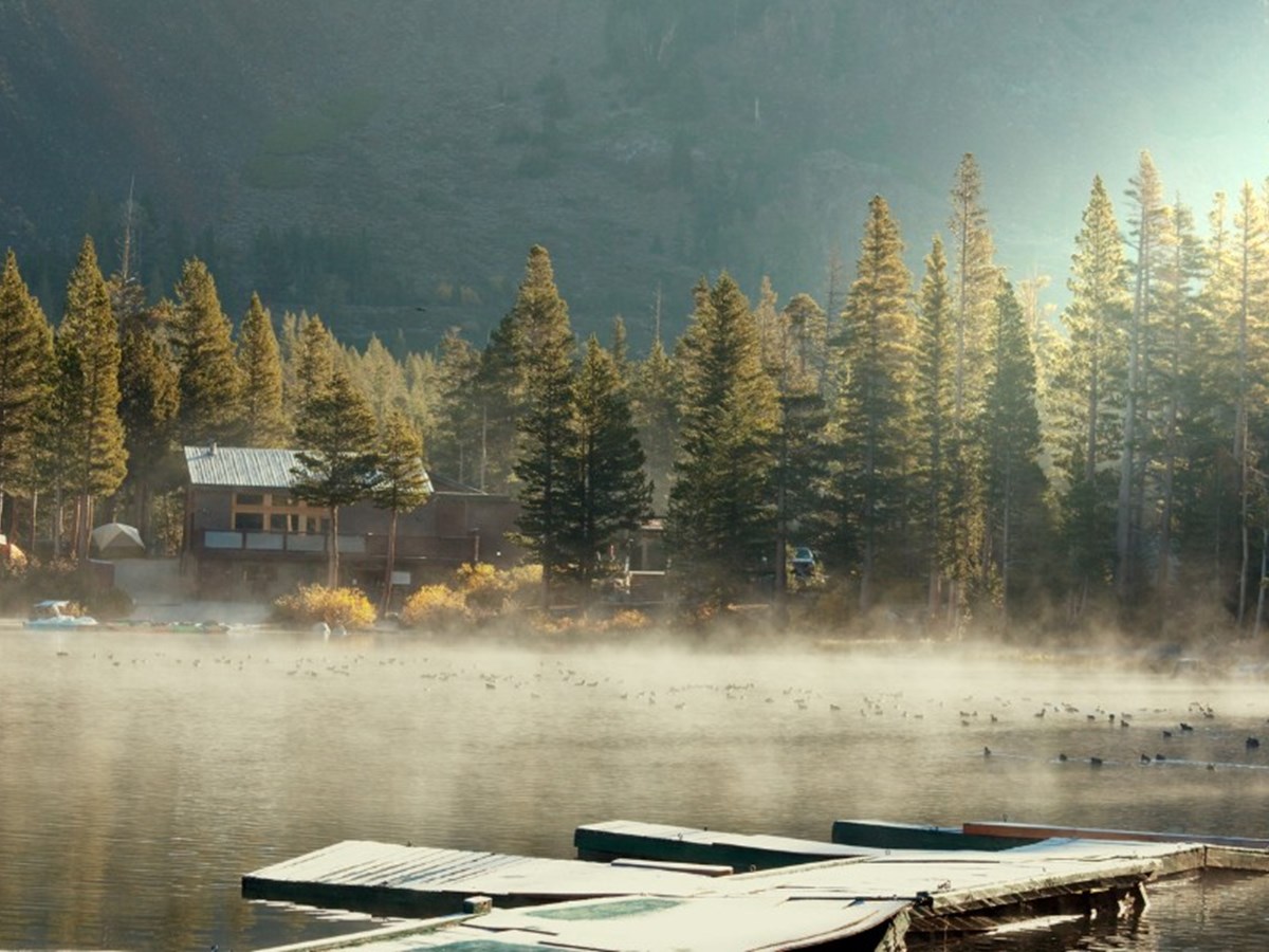 Guide to Choosing the Perfect Memorial Place for Your Loved One’s Ashes