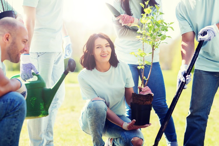 friends planting tree