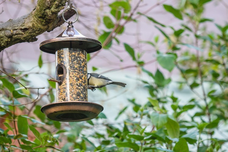 customized memorial bird feeder in a tree