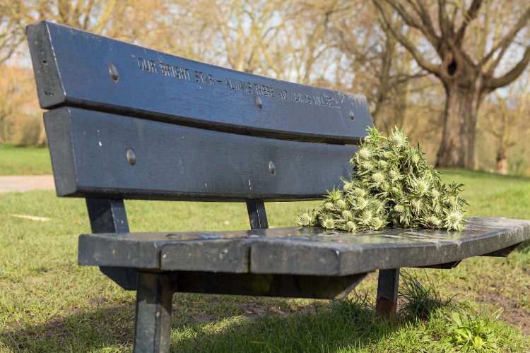 memorial bench with meaningful quotes carved in it