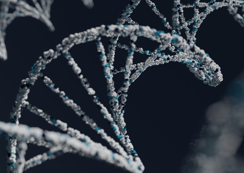 dna preservation for spaceflight memorial.jpg