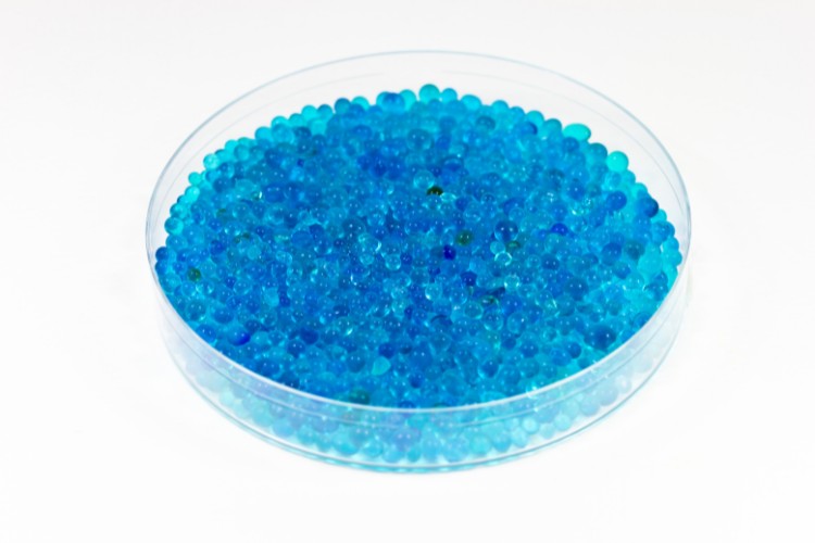 Silica beads in petri dish used for long-term DNA encapsulation and preservation