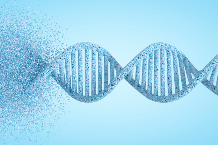 DNA strand dissolving to illustrate molecular degradation due to environmental factors