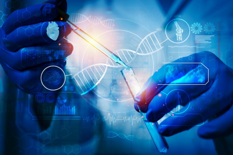 DNA stabilization and molecular preservation techniques