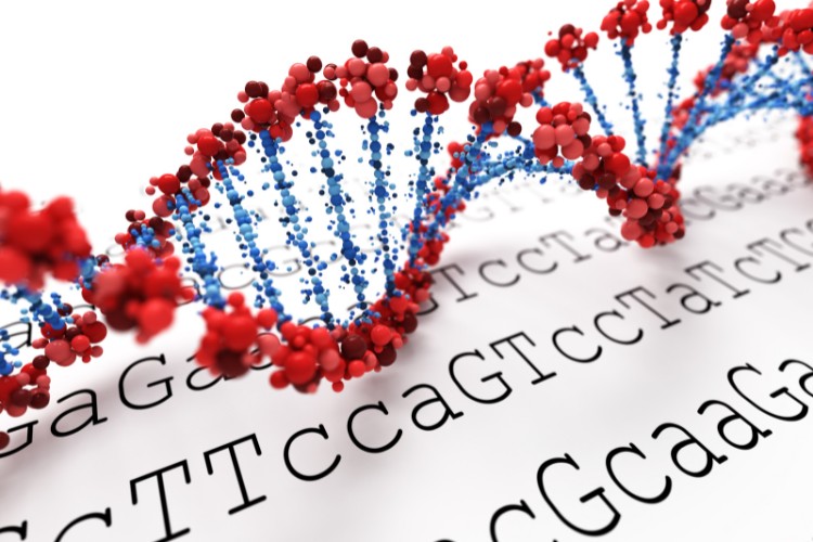 Delicate DNA in need of proper storage for medical research and heritage preservation